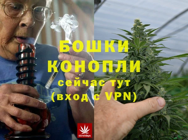 МДПВ Алексин
