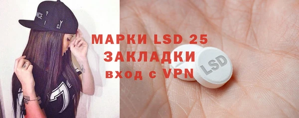 ECSTASY Алзамай