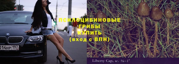 МДПВ Алексин