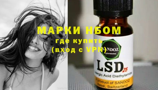 гашик Алексеевка