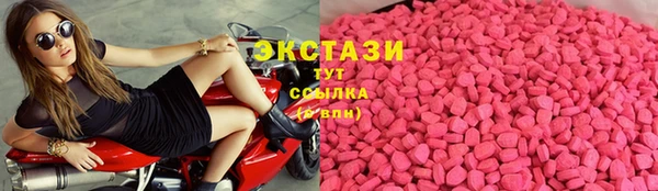 ECSTASY Алзамай