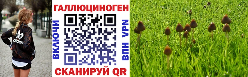 Галлюциногенные грибы Cubensis  Новоузенск 